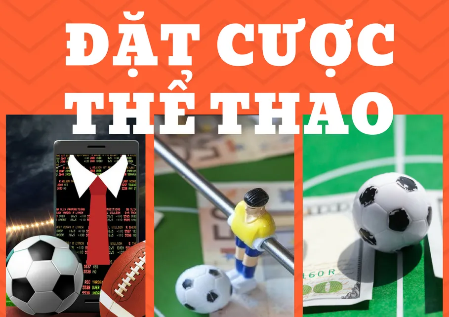 dat cuoc the thao 01